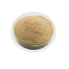 Cas 68038-70-0 Bacillus Subtilis insecticide spores powder surfactin from fertilizer price fermentation buy bacillus subtilis